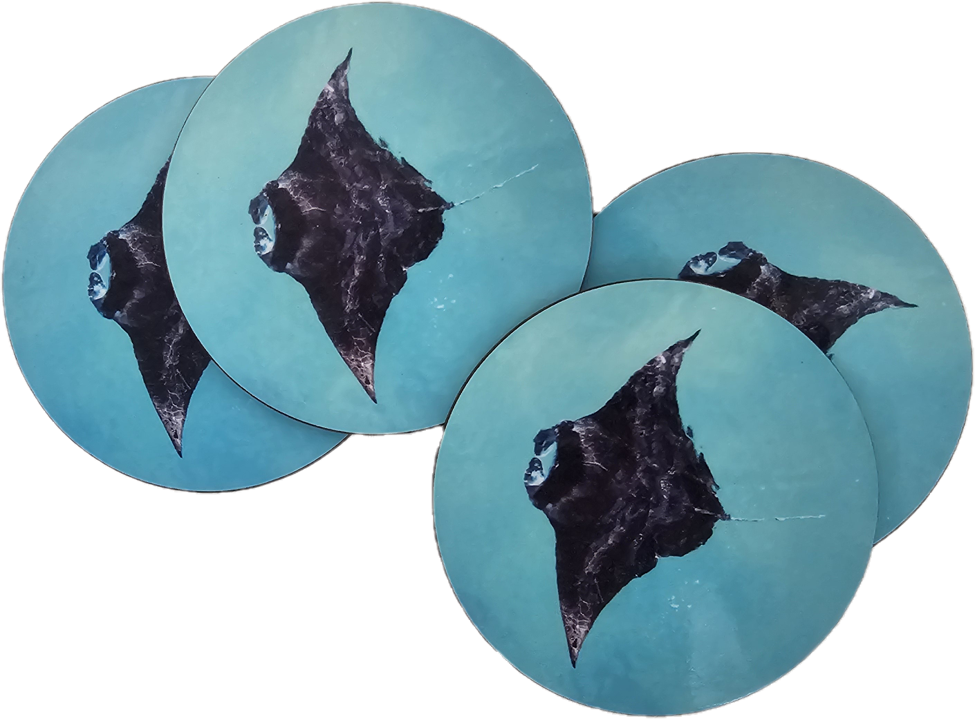 MANTA RAY COASTERS